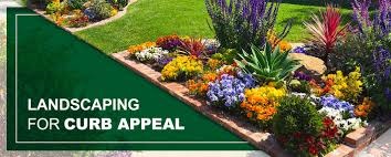 front yard landscaping ideas houston